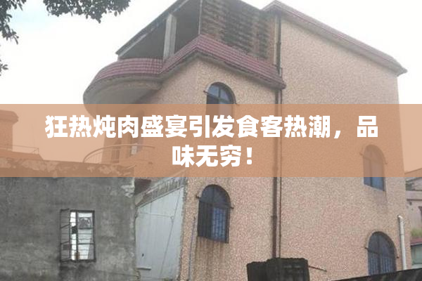 狂热炖肉盛宴引发食客热潮，品味无穷！
