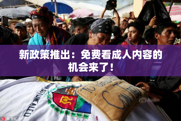新政策推出：免费看成人内容的机会来了！