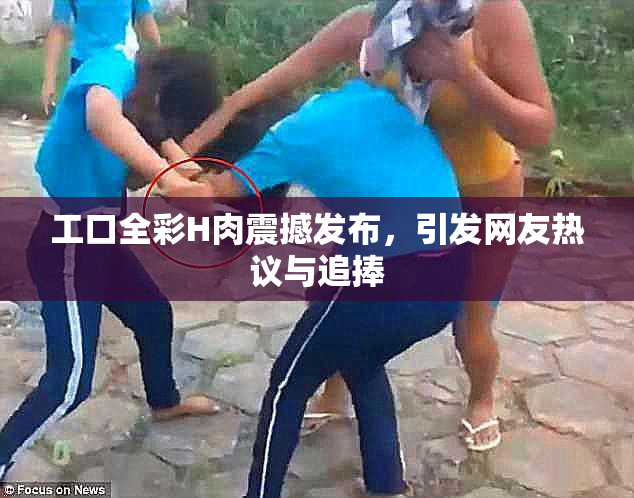 工口全彩H肉震撼发布，引发网友热议与追捧