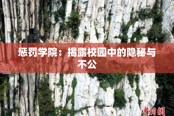 惩罚学院：揭露校园中的隐秘与不公