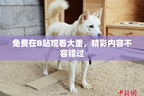 免费在B站观看大重，精彩内容不容错过
