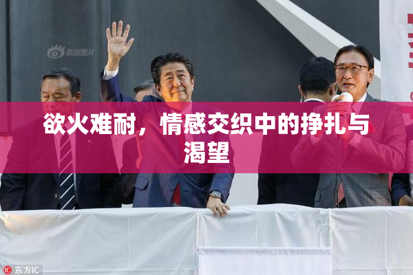 欲火难耐，情感交织中的挣扎与渴望