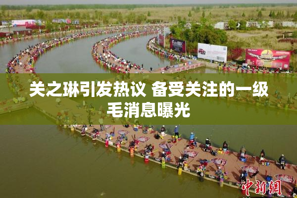 关之琳引发热议 备受关注的一级毛消息曝光