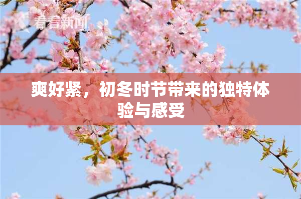 爽好紧，初冬时节带来的独特体验与感受