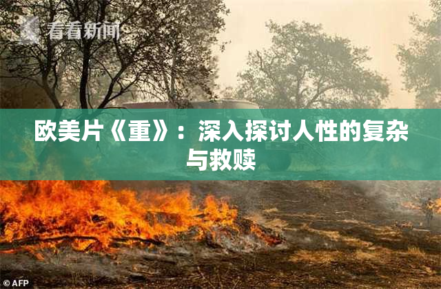 欧美片《重》：深入探讨人性的复杂与救赎