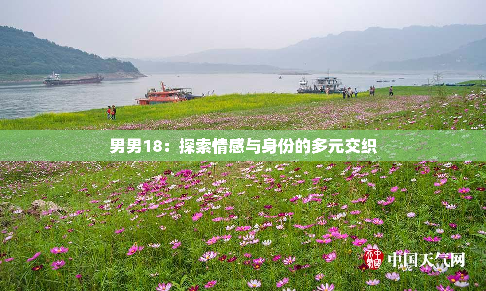 男男18：探索情感与身份的多元交织