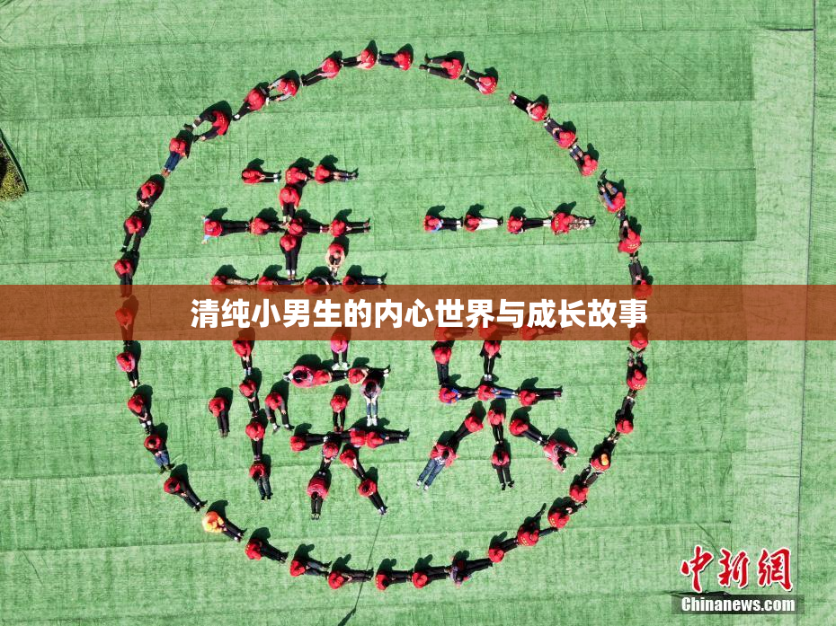 清纯小男生的内心世界与成长故事