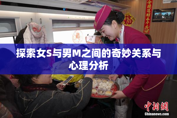 探索女S与男M之间的奇妙关系与心理分析