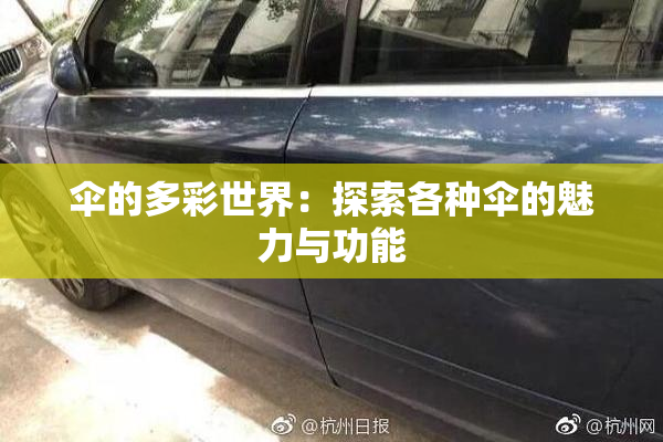 伞的多彩世界：探索各种伞的魅力与功能