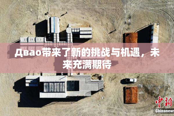 Двао带来了新的挑战与机遇，未来充满期待