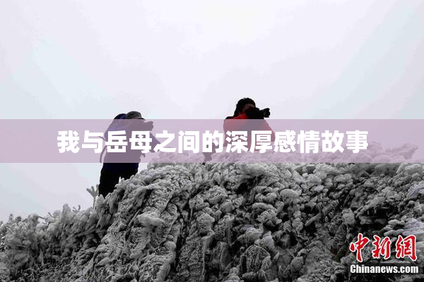 我与岳母之间的深厚感情故事