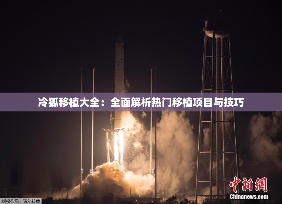 冷狐移植大全：全面解析热门移植项目与技巧