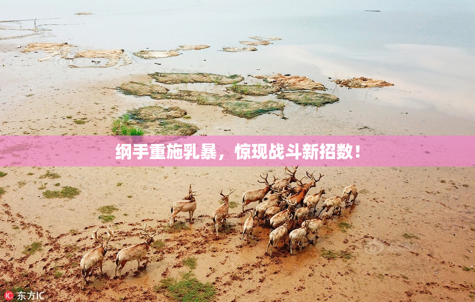 纲手重施乳暴，惊现战斗新招数！