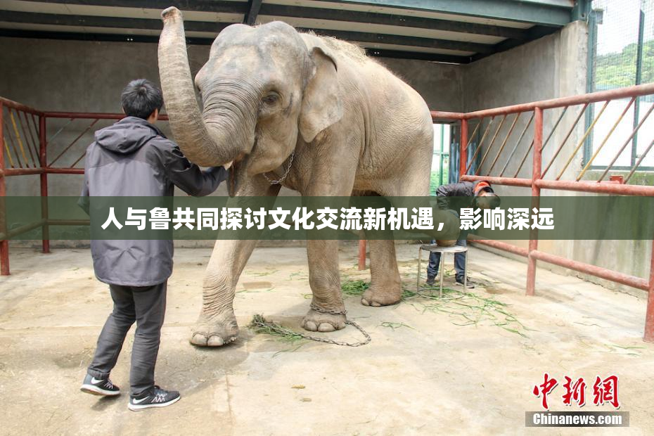 人与鲁共同探讨文化交流新机遇，影响深远