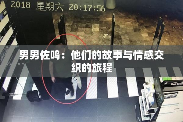 男男佐鸣：他们的故事与情感交织的旅程