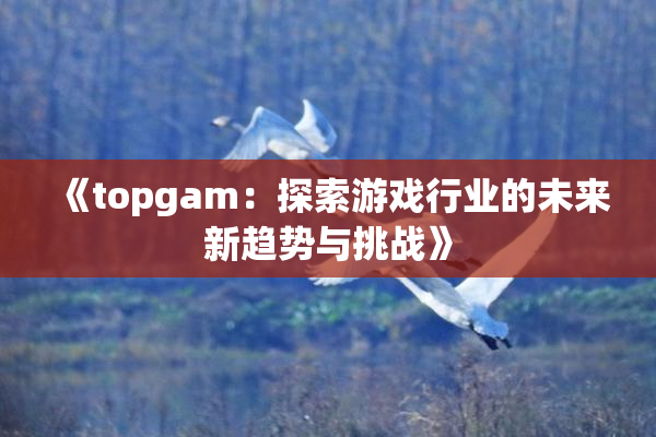《topgam：探索游戏行业的未来新趋势与挑战》