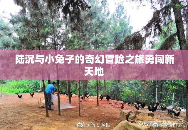陆沉与小兔子的奇幻冒险之旅勇闯新天地