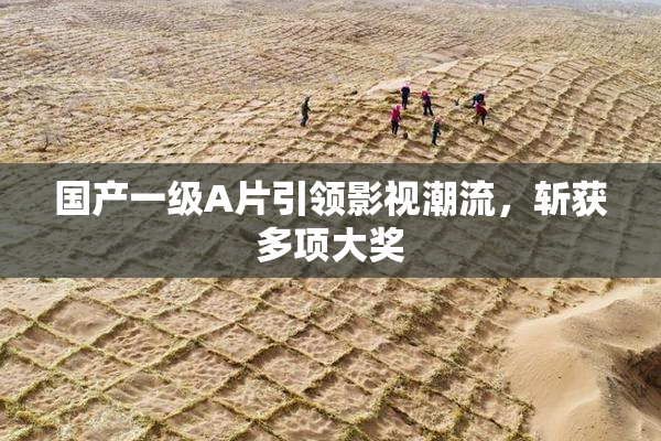 国产一级A片引领影视潮流，斩获多项大奖