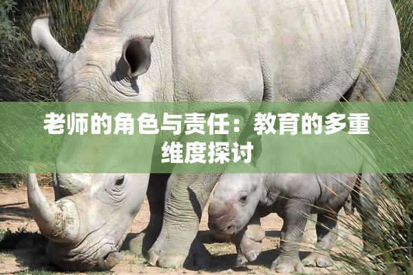 老师的角色与责任：教育的多重维度探讨