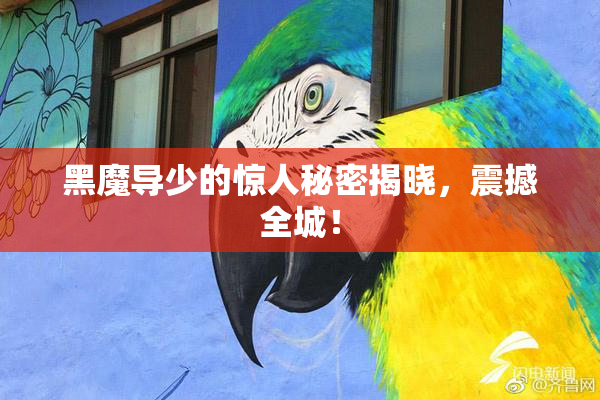 黑魔导少的惊人秘密揭晓，震撼全城！