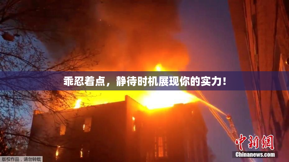 乖忍着点，静待时机展现你的实力！