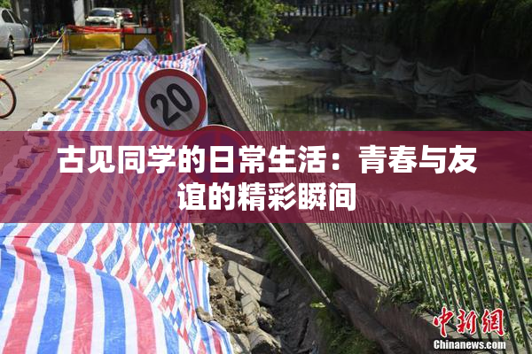 古见同学的日常生活：青春与友谊的精彩瞬间