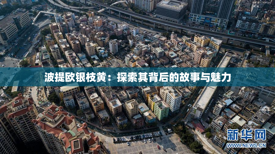 波提欧银枝黄：探索其背后的故事与魅力