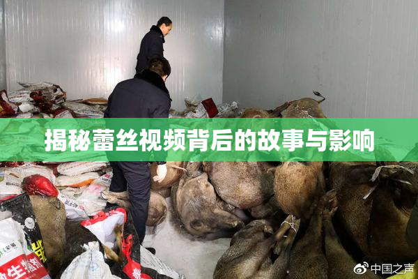 揭秘蕾丝视频背后的故事与影响
