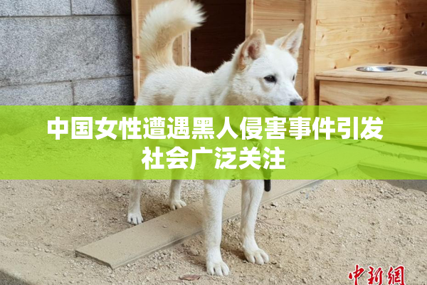 中国女性遭遇黑人侵害事件引发社会广泛关注