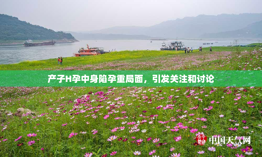 产子H孕中身陷孕重局面，引发关注和讨论