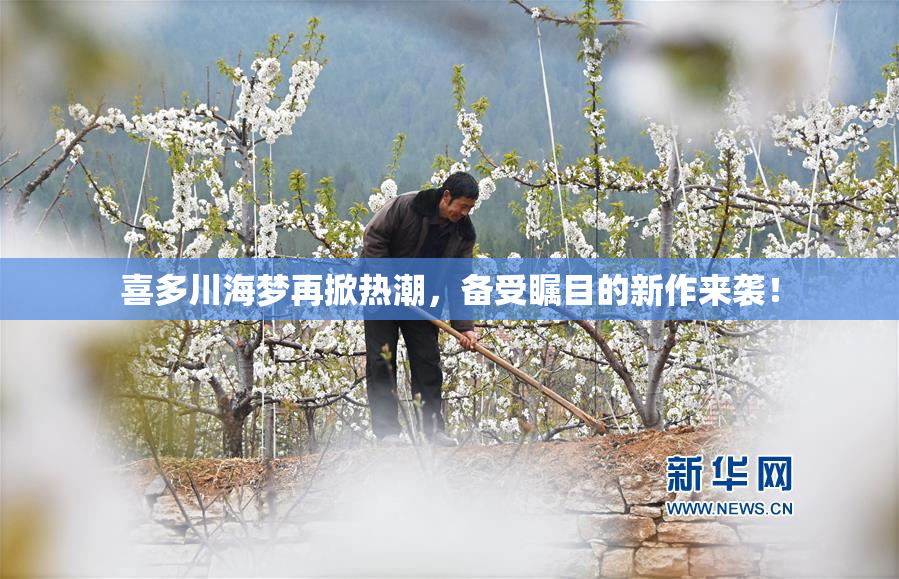 喜多川海梦再掀热潮，备受瞩目的新作来袭！
