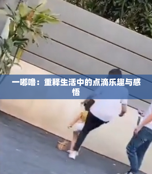 一嘟噜：重释生活中的点滴乐趣与感悟