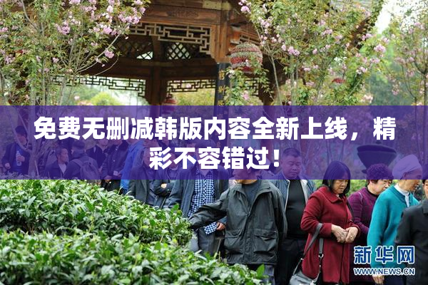 免费无删减韩版内容全新上线，精彩不容错过！