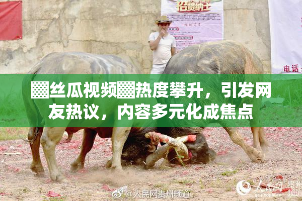 ▓丝瓜视频▓热度攀升，引发网友热议，内容多元化成焦点