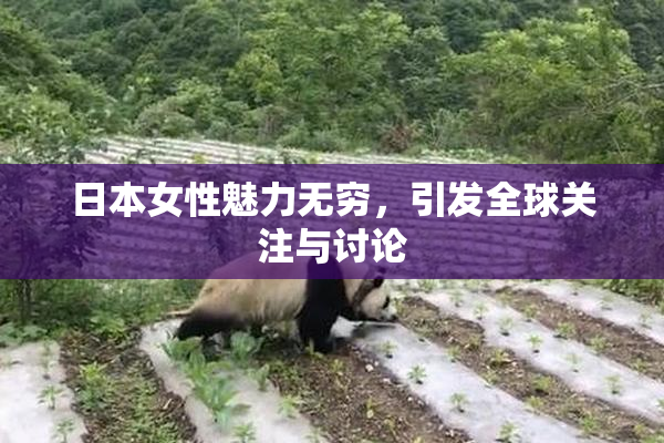 日本女性魅力无穷，引发全球关注与讨论