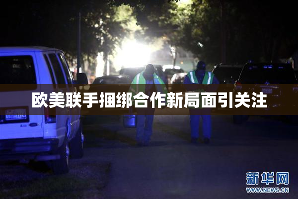 欧美联手捆绑合作新局面引关注