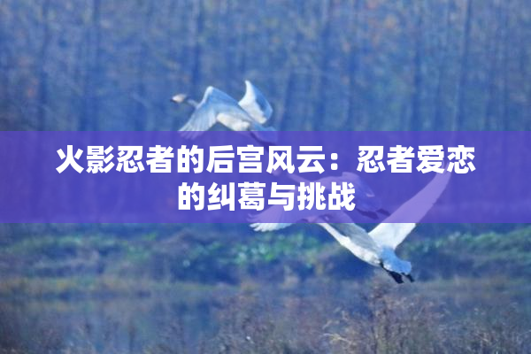 火影忍者的后宫风云：忍者爱恋的纠葛与挑战