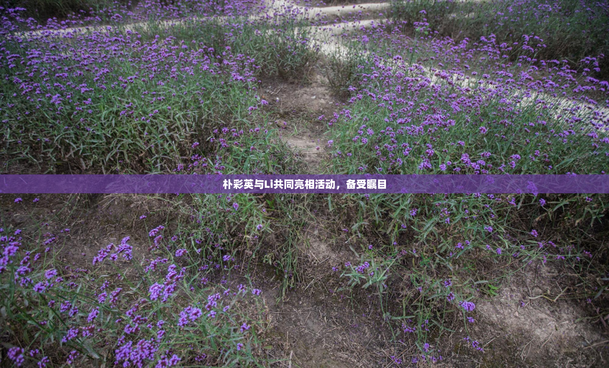 朴彩英与Li共同亮相活动，备受瞩目