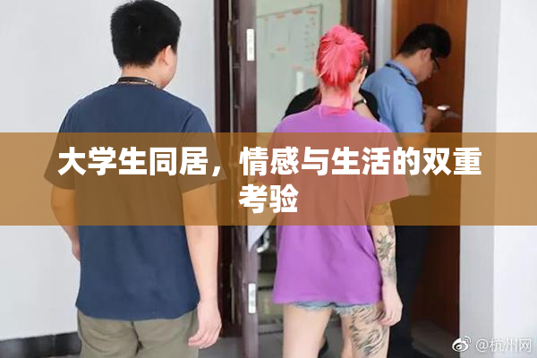 大学生同居，情感与生活的双重考验