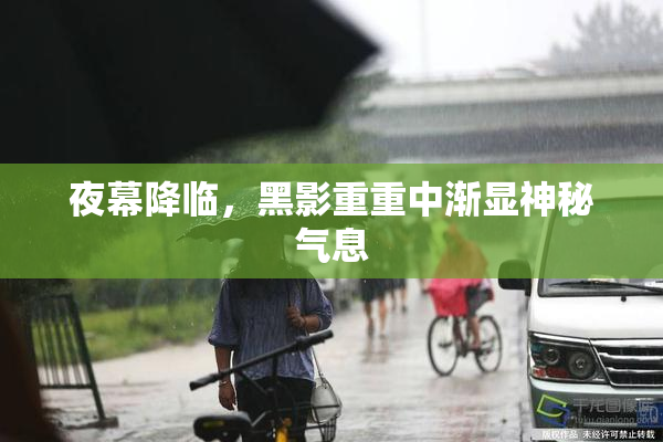 夜幕降临，黑影重重中渐显神秘气息