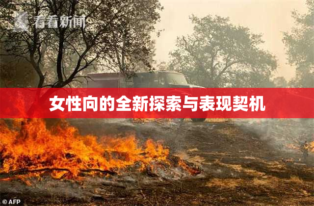 女性向的全新探索与表现契机