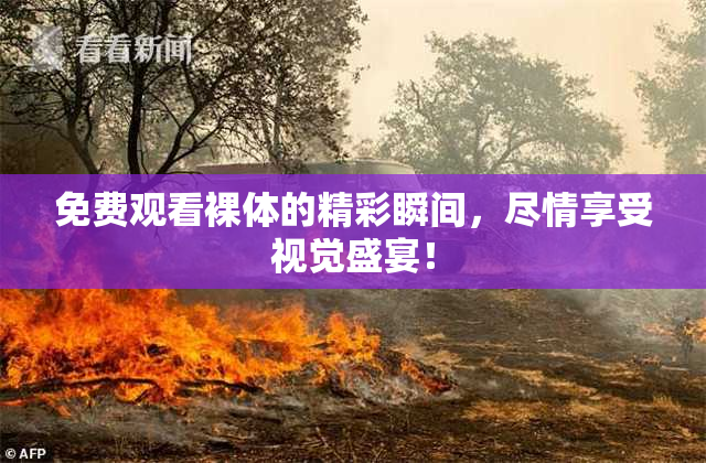 免费观看裸体的精彩瞬间，尽情享受视觉盛宴！