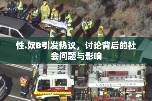 性.奴B引发热议，讨论背后的社会问题与影响