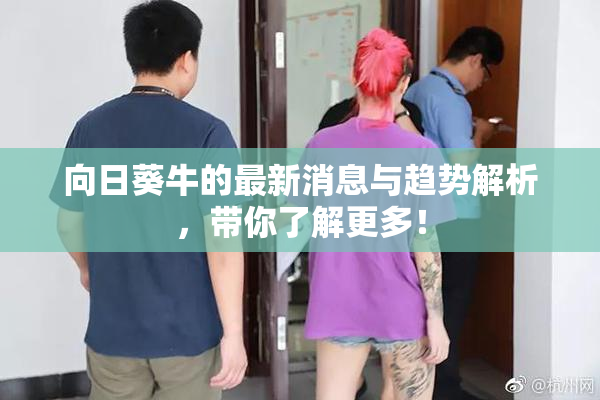 向日葵牛的最新消息与趋势解析，带你了解更多！