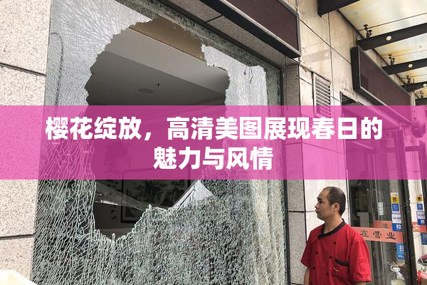 樱花绽放，高清美图展现春日的魅力与风情