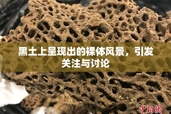 黑土上呈现出的裸体风景，引发关注与讨论