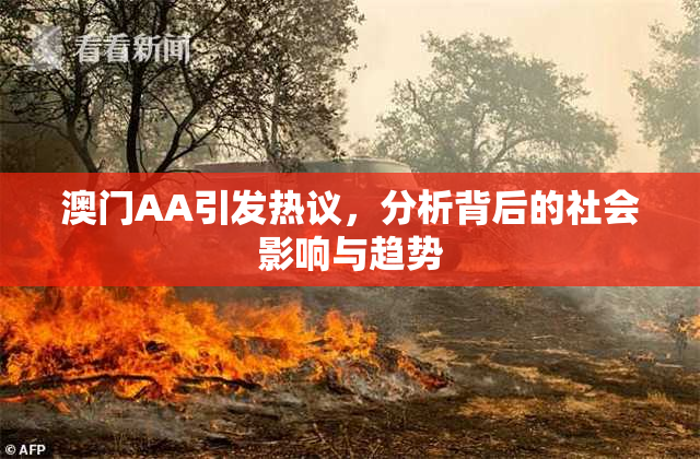 澳门AA引发热议，分析背后的社会影响与趋势
