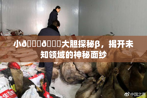 小🐔🐔大胆探秘β，揭开未知领域的神秘面纱