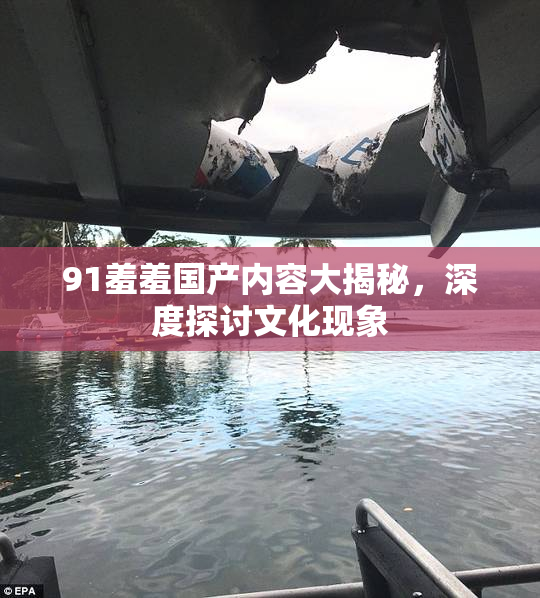 91羞羞国产内容大揭秘，深度探讨文化现象