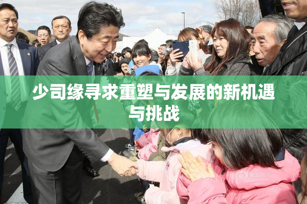少司缘寻求重塑与发展的新机遇与挑战
